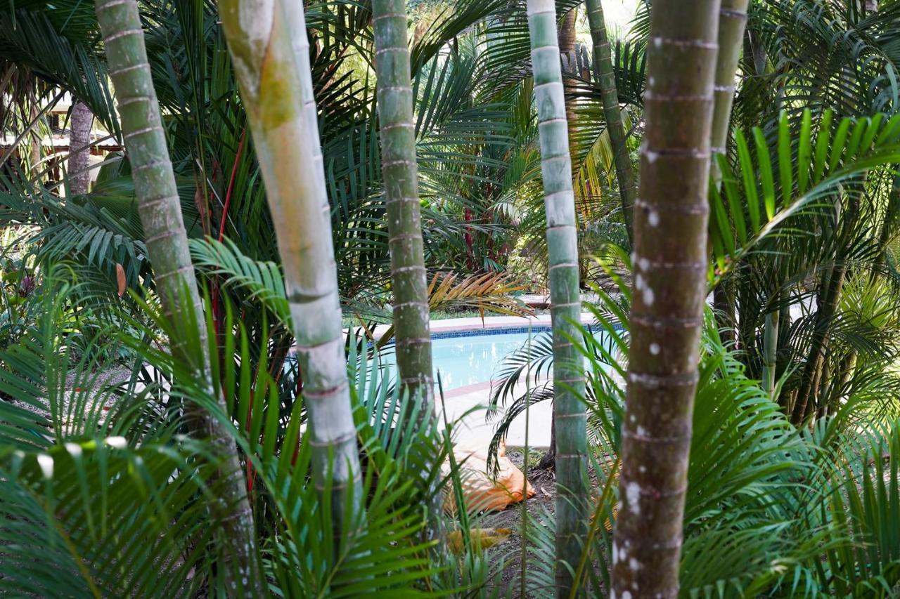 Hotel Luz De Luna Playa Santa Teresa  Eksteriør billede